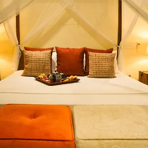 Bed & Breakfast Urban Bliss 
